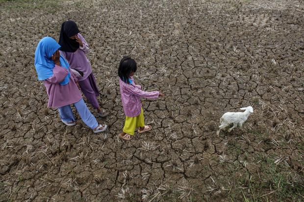 Sebagian wilayah di Indonesia terdampak El Nino
