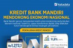 Kredit Bank Mandiri