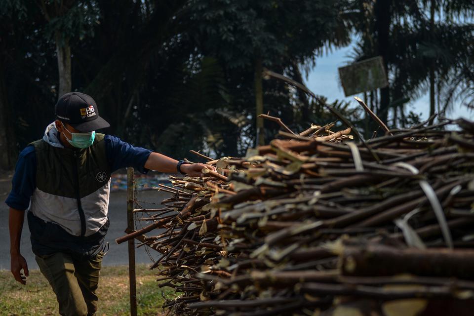 Pekerja memeriksa kualitas pohon kaliandra yang telah dipanen dari Hutan Taman Energi Cirata, Bendungan Cirata, Kabupaten Bandung Barat, Jawa Barat, Kamis (10/8/2023). 