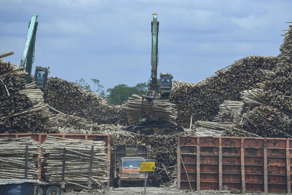 Kementerian, lingkungan hidup, pulp and paper, kertas
