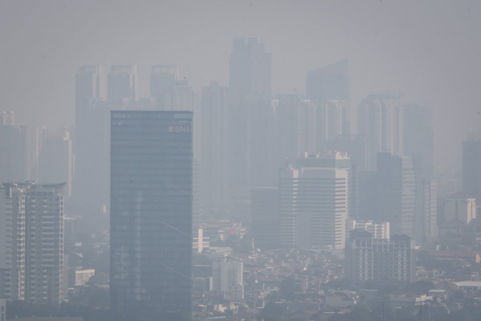 polusi udara, penyakit pernapasan