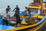 Ekspor perikanan Aceh ke tujuh negara