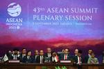 Plenary Session KTT ke-43 ASEAN