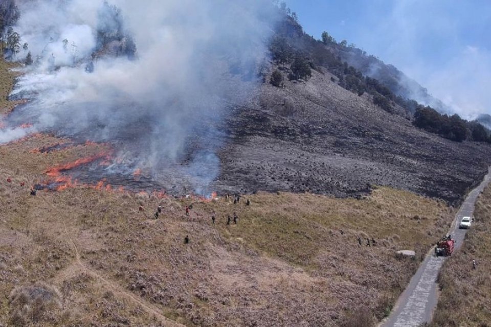 Kebakaran di kawasan Taman Nasional Bromo Tengger Semeru pada Rabu (6/9). Foto: Antara.