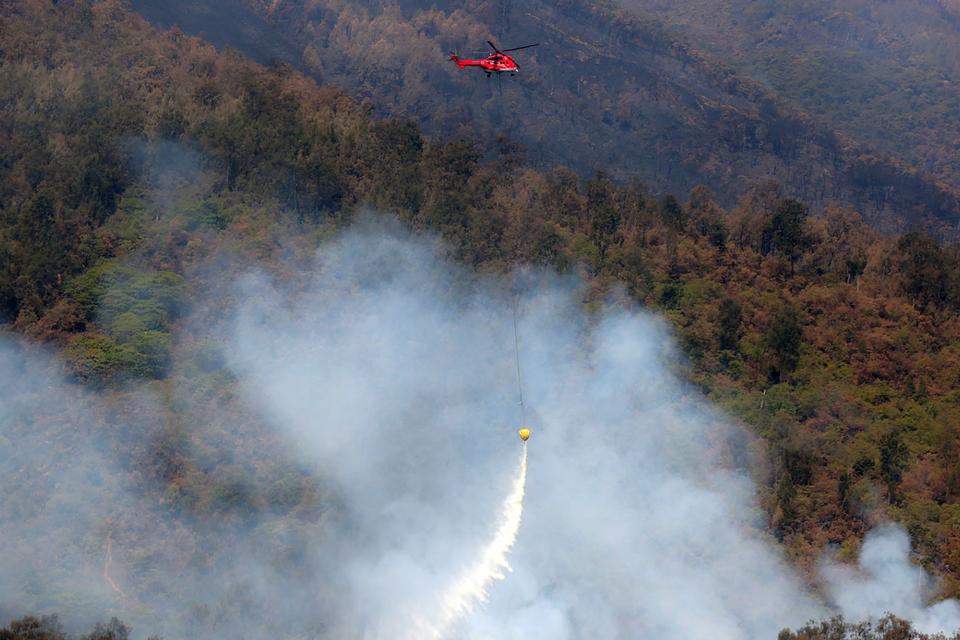 Helikopter Badan Nasional Penanggulangan Bencana (BNPB) melakukan pemadaman kebakaran lahan dan hutan Gunung Arjuno dari udara (water boombing) di Pasuruan, Jawa Timur, Sabtu (9/9/2023). Berdasarkan data BPBD Jawa Timur, kebakaran hutan dan lahan (karhutl