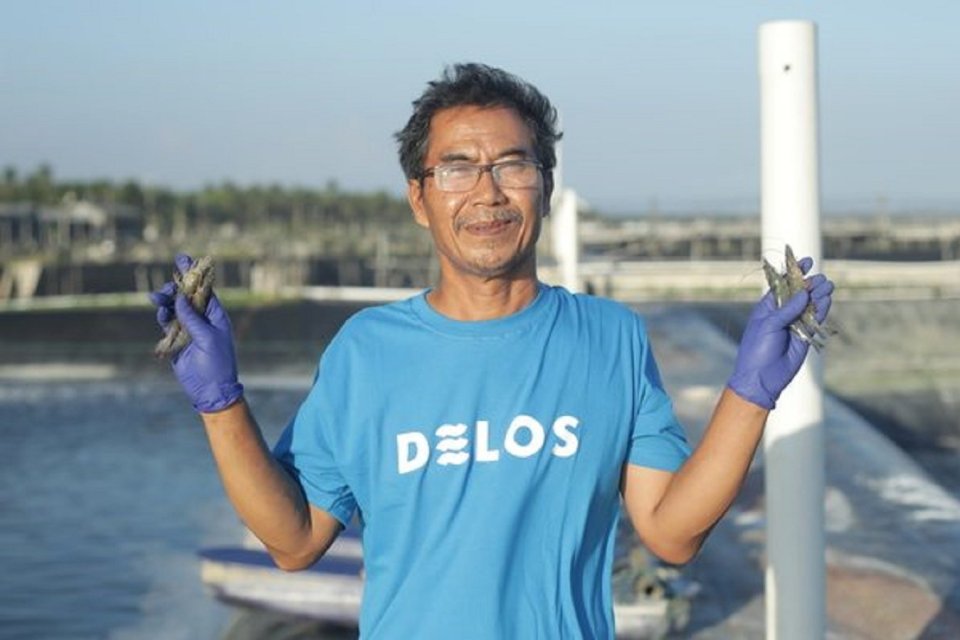 startup perikanan, pendanaan startup, Delos