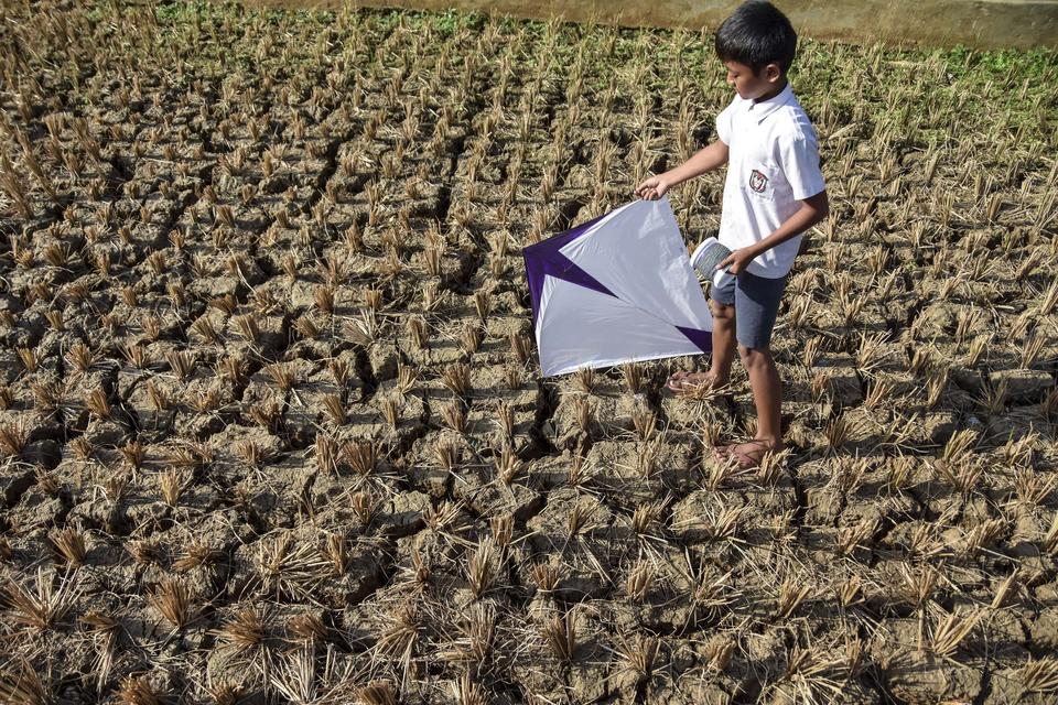 Seorang anak bermain layangan di lahan sawah yang kering di Desa Gunung Tanjung, Kabupaten Tasikmalaya, Jawa Barat, Selasa (12/9/2023). Kementerian Pertanian mencatat seluas 27.000 hektare lahan pertanian di Indonesia mengalami kekeringan, melonjak diband