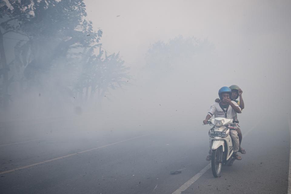Ilustrasi. Sejumlah pengendara melintas di Jalan Lintas Palembang-Indralaya yang tertutup kabut asap di Desa Sungai Rambutan, Indralaya Utara, Ogan Ilir (OI), Sumatera Selatan, Rabu (13/9/2023). Kabut asap dari kebakaran lahan yang terjadi di daerah terse