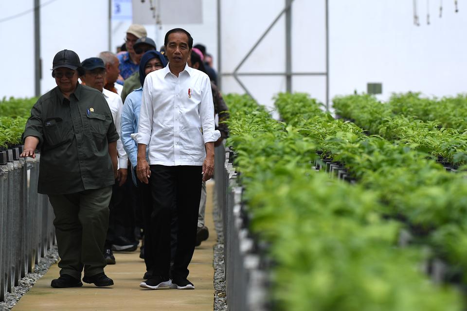 Presiden Joko Widodo (kanan) didampingi Menteri Lingkungan Hidup dan Kehutanan Siti Nurbaya (kiri) meninjau pembibitan tanaman di Persemaian Mentawir, Penajam Paser Utara, Kalimantan Timur, Kamis (21/9/2023). Presiden meninjau langsung perkembangan pembib