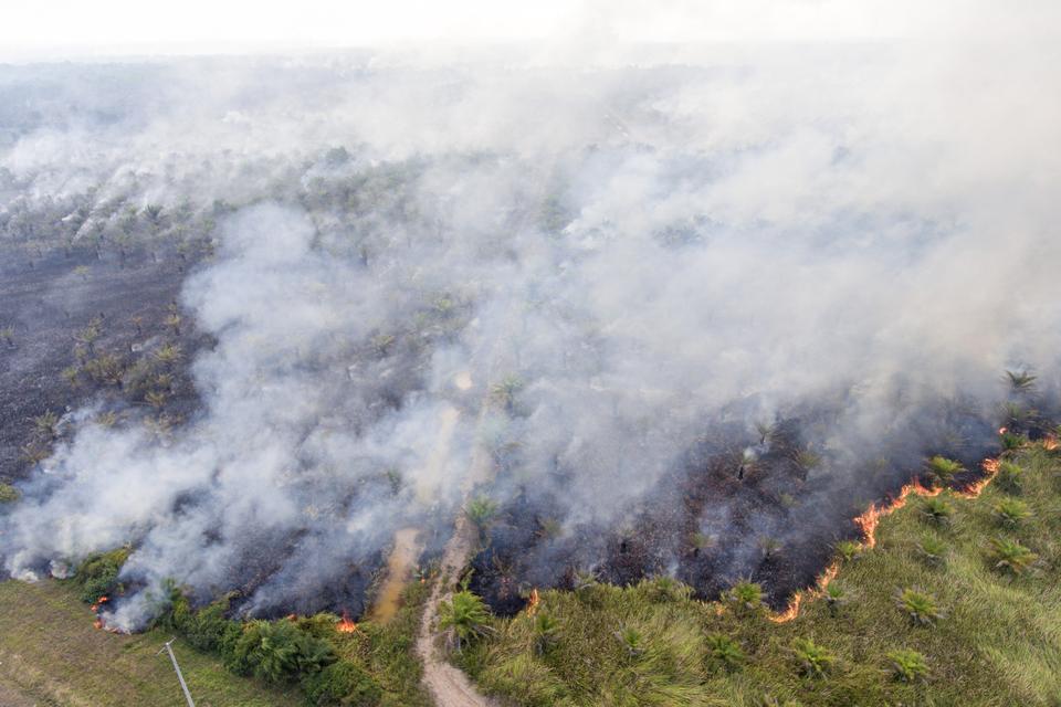Api membakar lahan perkebunan kelapa sawit di sisi Jalan Tol Trans Sumatera (JTTS) ruas Palembang-Indralaya KM15 Palem Raya, Ogan Ilir (OI), Sumatera Selatan, Jumat (22/9/2023). Berdasarkan data dari satelit NASA-NOAA20 jumlah titik api di wilayah Indones