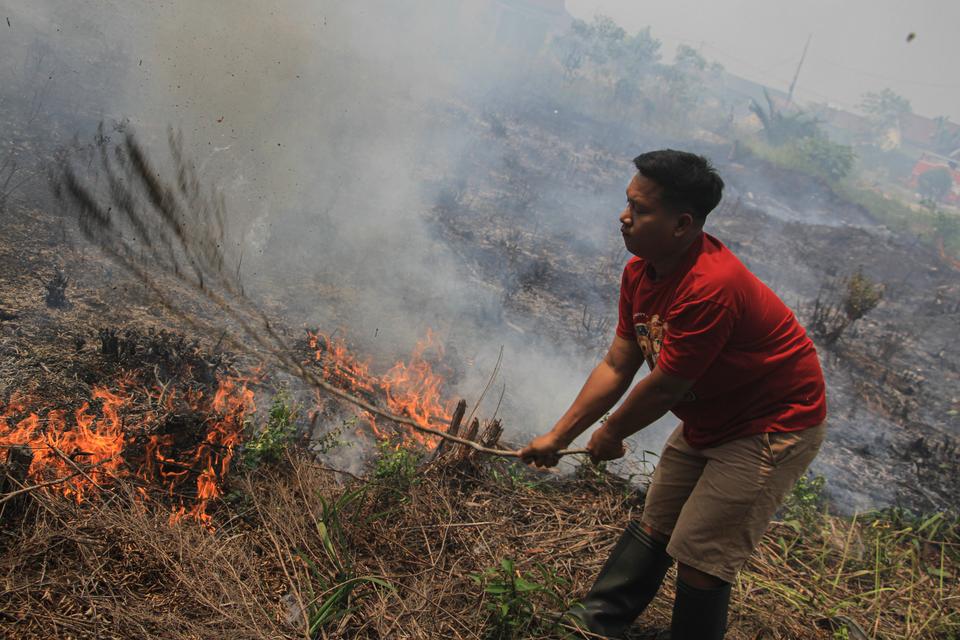Dampak kebakaran hutan bagi manusia.