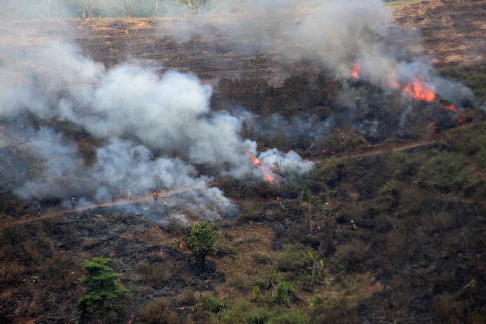 KLHK mengeksekusi putusan pengadilan terkait kebakaran hutan dan lahan (Karhutla) PT Jatim Jaya Perkasa (JJP) pada 2015 yang menghanguskan hutan seluas 1.000 hektare (ha).