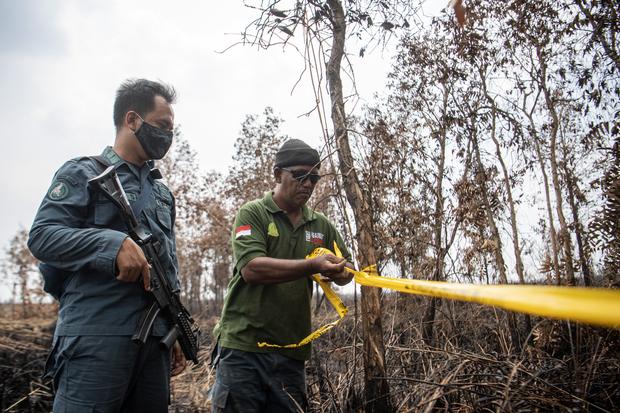 Gakkum KLHK segel lahan milik sampoerna agro dan tempirai