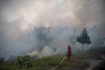 Luas lahan yang terbakar akibat karhutla