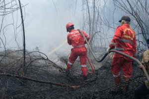 Petugas Pemadam Kebakaran Hutan Pertamina