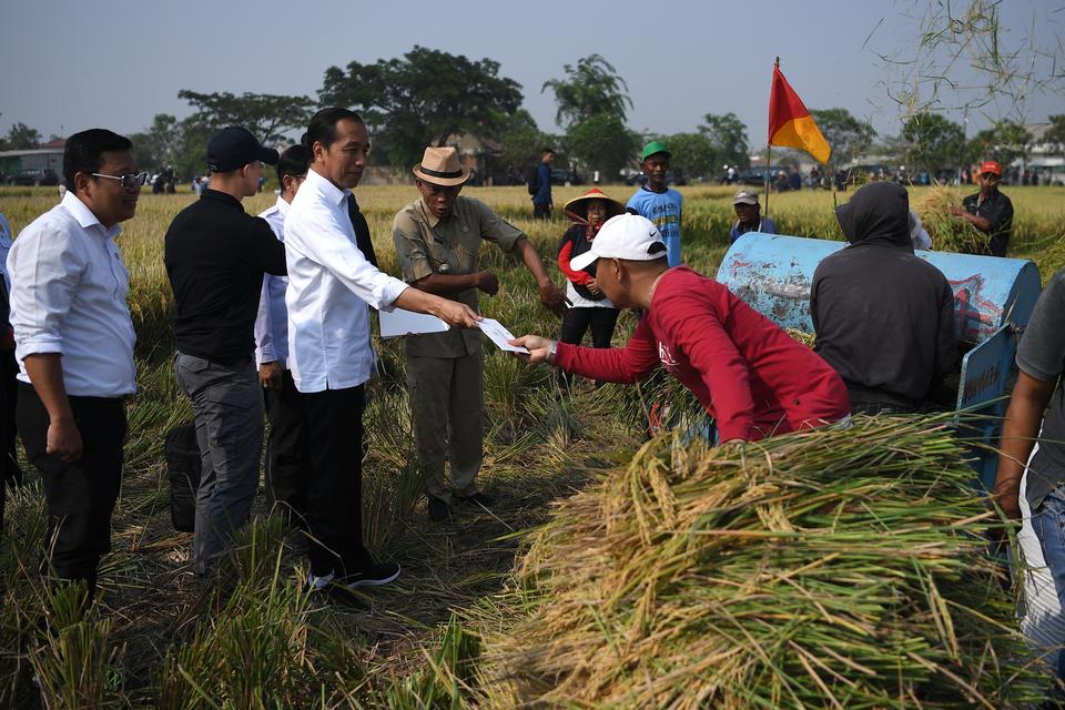 beras, impor beras, arief prasetyo adi, mentan