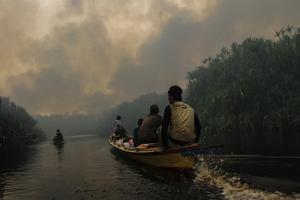 Laboratorium alam hutan gambut Cimtrop terbakar