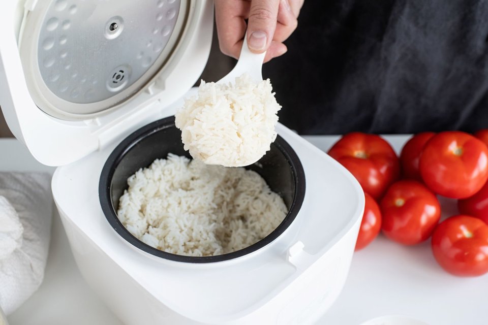 rice cooker gratis