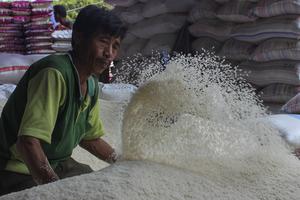 Imbauan terkait isu beras sintetis