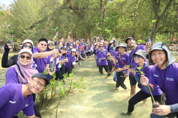 Hutan mangrove dapat mengurangi tingkat erosi tanah, mengatur salinitas air, dan menjadi habitat bagi ekosistem laut.