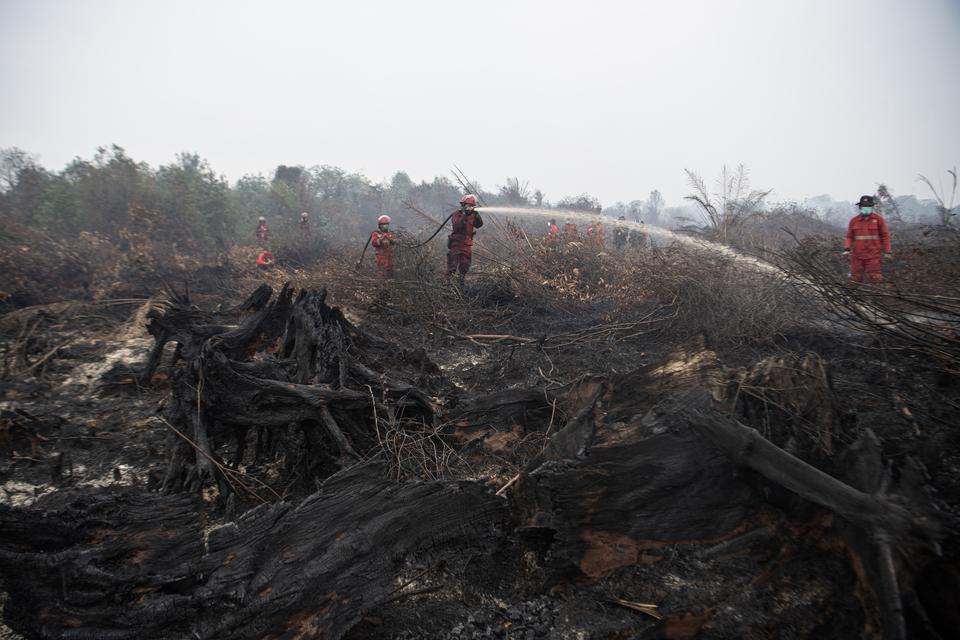 Petugas dari Manggala Agni Daops OKI dan Daops Lahat melakukan pemadaman kebakaran lahan gambut di Desa Jungkal, Kecamatan Pampangan, Ogan Komering Ilir (OKI), Sumatera Selatan, Selasa (7/11/2023). Balai Pengendalian Perubahan Iklim dan Kebakaran Hutan d
