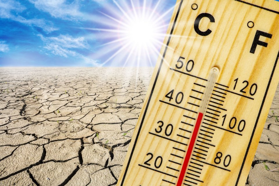 Suhu panas di Cina semakin meningkat pada tahun 2023 dengan rekor suhu yang terpecahkan dari Beijing hingga Shanghai. 