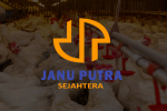 PT Janu Putra Sejahtera Tbk 