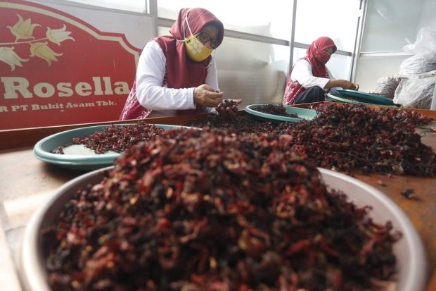 Dukung Digitalisasi UMKM, MIND ID Dorong Mitra Binaan Go Market Place