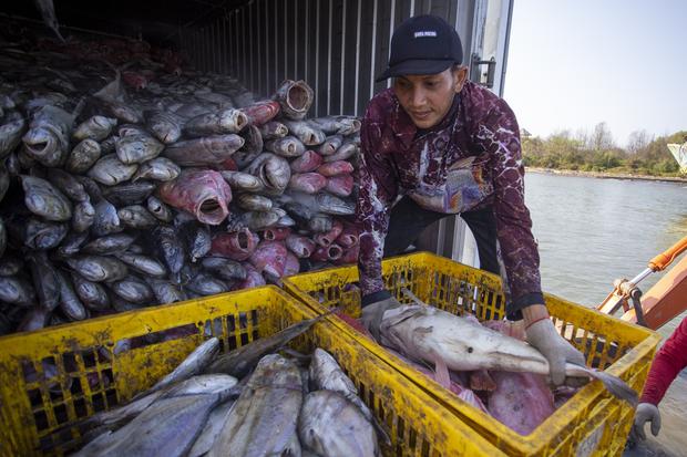 Ekspor produk perikanan Indonesia