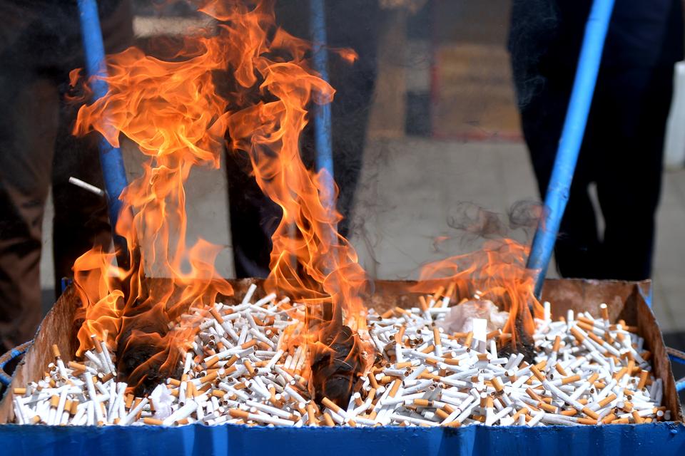 Petugas memusnahkan barang sitaan berupa rokok ilegal di Kantor Pengawasan dan Pelayanan Bea dan Cukai Tipe Madya Pabean A Denpasar, Bali, Kamis (23/11/2023). Kantor Wilayah Direktorat Jenderal Bea dan Cukai (DJBC) Bali, NTB, NTT serta Bea dan Cukai D