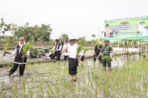 Menteri Pertanian panen dan tanam padi di Tuban