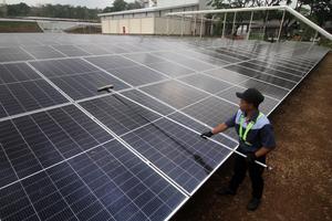 Peresmian 10.550 panel surya di Pasuruan
