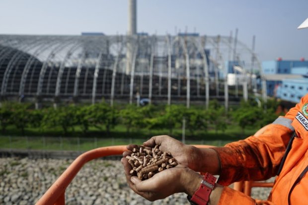 Program STAB dan PERTIWI yang diluncurkan PLN dan Kemenko Marves di COP28 Dubai bertujuan untuk mengembangoan biomassa di Indonesia. 