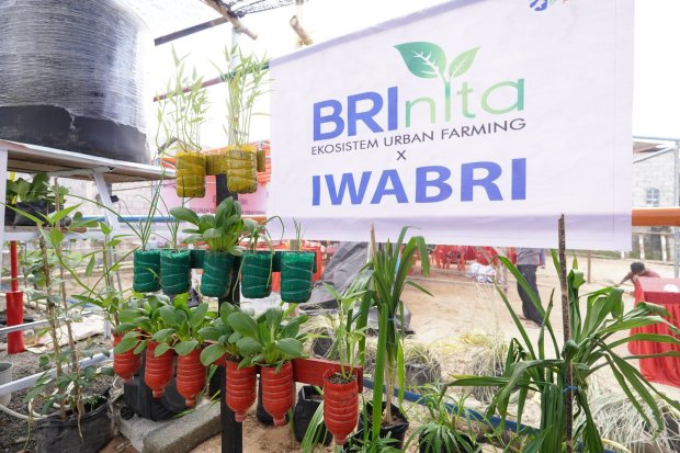 Program BRInita (Bertani di Kota) merupakan salah satu wujud nyata dan tanggung jawab sosial perusahaan dalam mendukung perbaikan ekosistem lingkungan yang digagas oleh Bank BRI.\