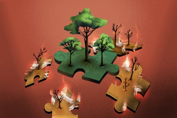 Ilustrasi kebakaran hutan dan lahan gambut.