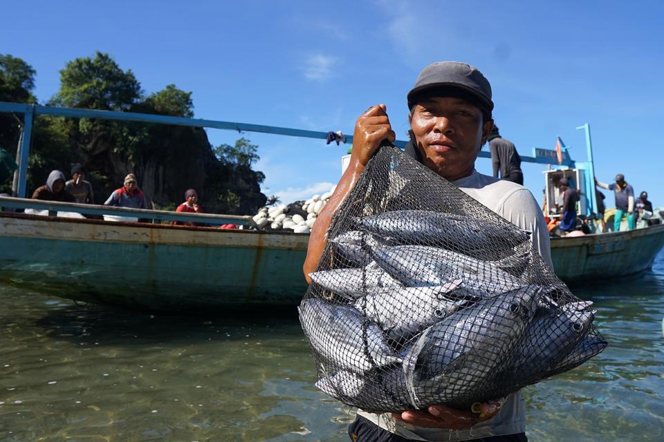 Nelayan membawa ikan Cakalang hasil tangkapan ke daratan di Desa Olele, Kabupaten Bone Bolango, Gorontalo, Kamis (7/12/2023). 