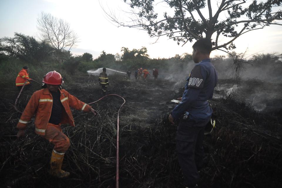 Petugas dari pemadam kebakaran Kota Bengkulu melakukan pemadaman kebakaran lahan gambut di Kota Bengkulu, Bengkulu, Rabu (20/12/2023). Petugas masih terus berupaya melakukan pemadaman Kebakaran lahan yang terbakar sejak 18 Desember 2023 tersebut.