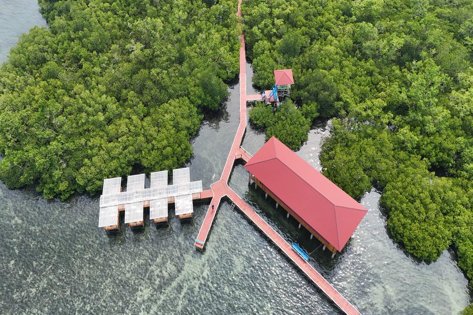 Badan Restorasi Gambut dan Mangrove (BRGM) akan merehabilitasi lahan mangrove dengan luasan target 32.000 hektare tahun ini.