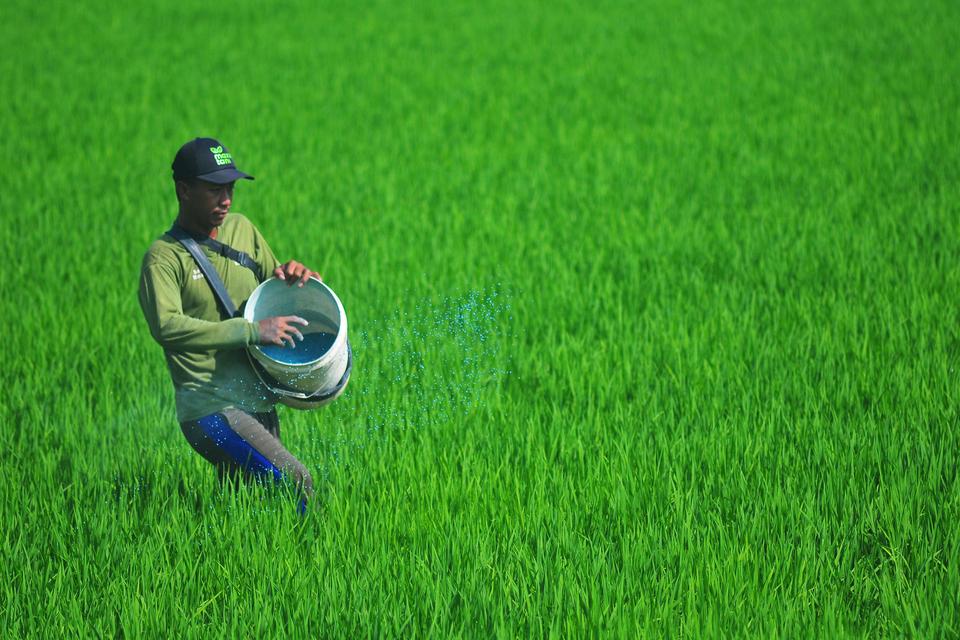 beras