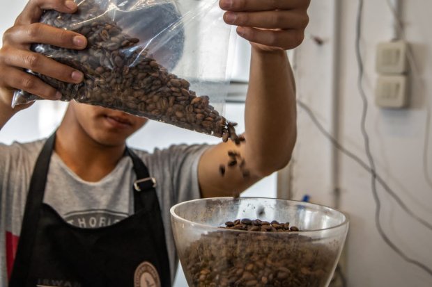 Kelompok Usaha Rimba Kakupi Ambaidiru di Papua makin gencar mengembangkan usaha dan melakukan ekspor kopi berkat Program KlasterkuHidupku dari BRI.