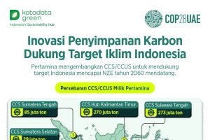 Inovasi Penyimpanan Karbon Dukung Target Iklim Indonesia