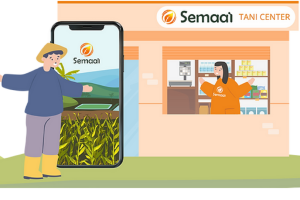 Startup pertanian Semaai
