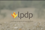 Beasiswa LPDP 2024
