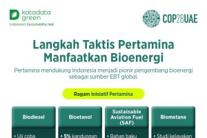Langkah Taktis Pertamina Manfaatkan Bioenergi