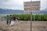 Pembersihan pesisir pantai di kawasan konservasi mangrove