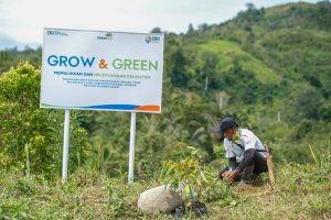 BRI Menanam Grow & Green Salurkan Bantuan Tanaman Produktif