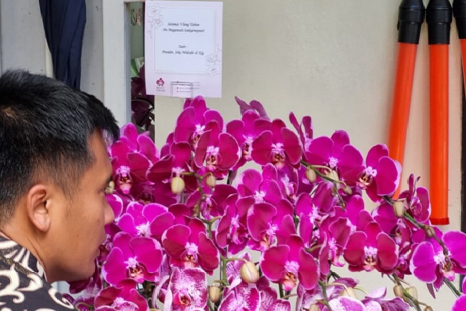 jokowi, megawati, pdip