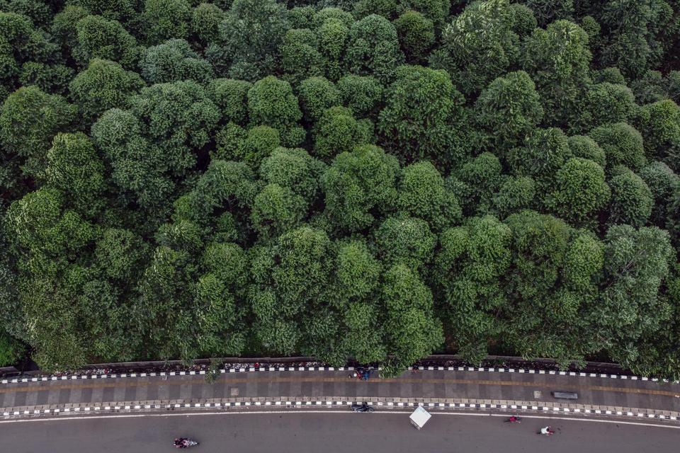Foto udara area Hutan Kota Pakansari, Kabupaten Bogor, Jawa Barat, Jumat (26/1/2024). Pemerintah Kabupaten Bogor menargetkan membangun setidaknya satu hutan kota setiap tahunnya mengingat manfaatnya yang besar bagi masyarakat yaitu untuk keseimbangan ekol