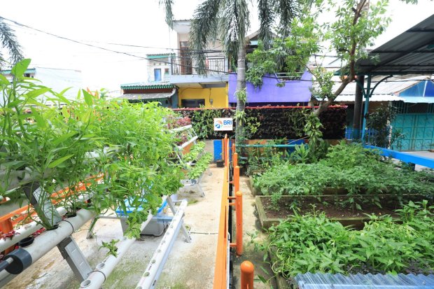 Kampung Palm Eco Green Village di Kota Malang, Jawa Timur kini menjadi kampung wisata yang mengusung pelestarian lingkungan dan pengurangan stunting.