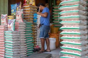 Harga beras di Palu kembali naik